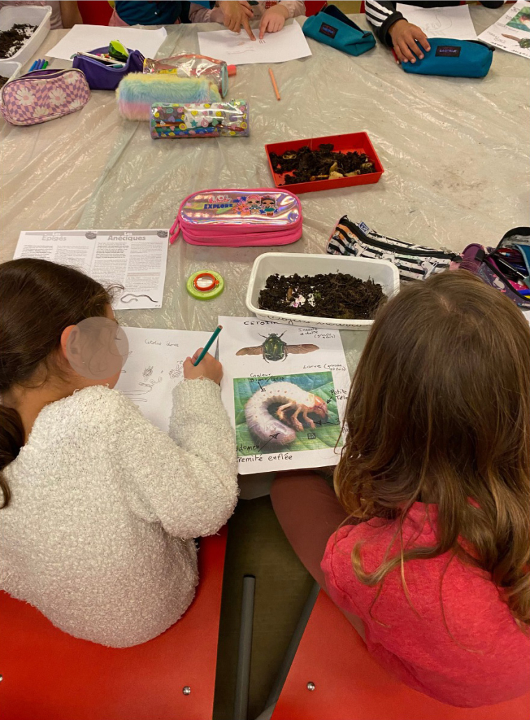 Atelier pour les écoles : atelier scolaire découverte du monde vivant